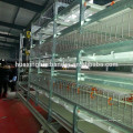 china manufactur factory supply birds cage